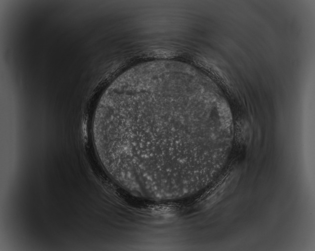 X0000095670358200801291141