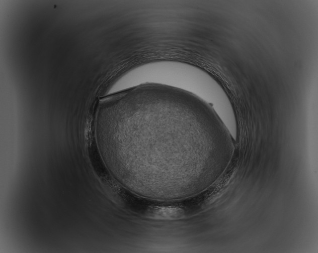 X0000095670360200801291141