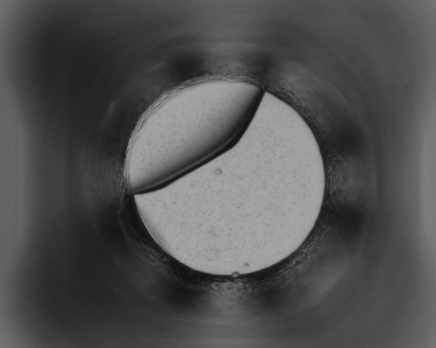 X0000095670362200801291141