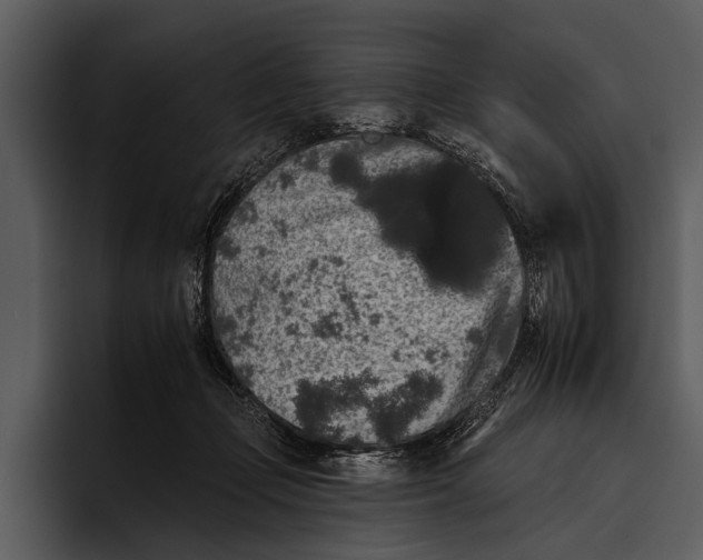 X0000095670365200801291141