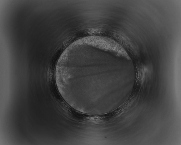 X0000095670367200801291141