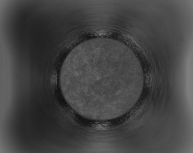 X0000095670368200801291141