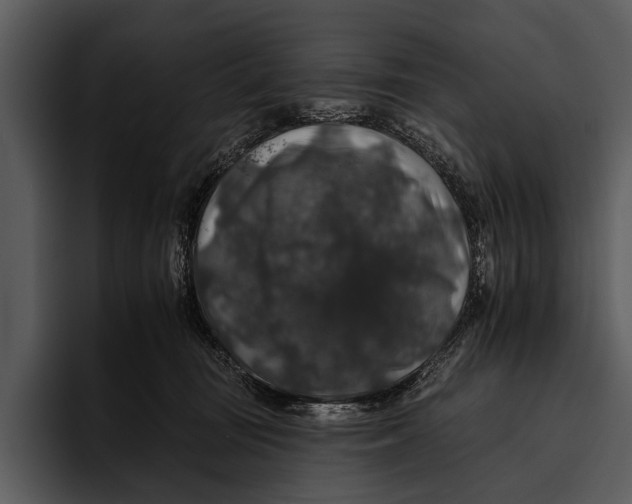 X0000095670371200801291142