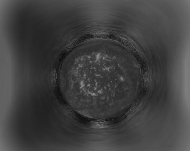 X0000095670372200801291142