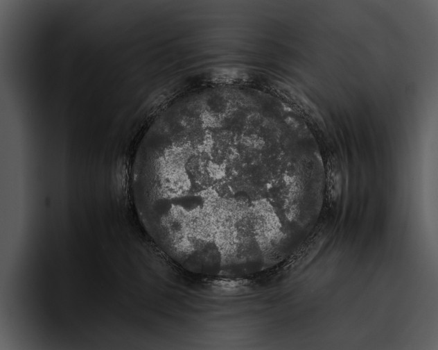 X0000095670375200801291142