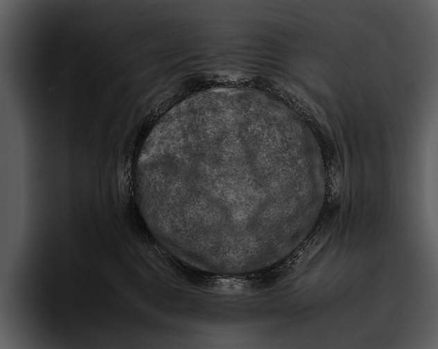 X0000095670376200801291142