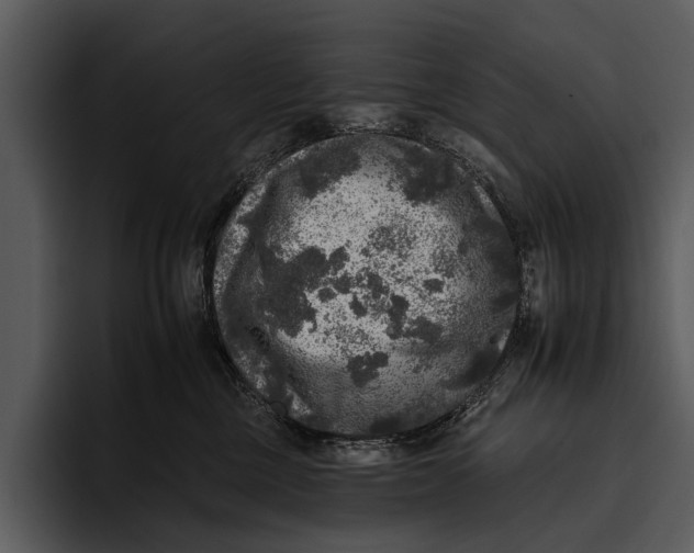 X0000095670377200801291142