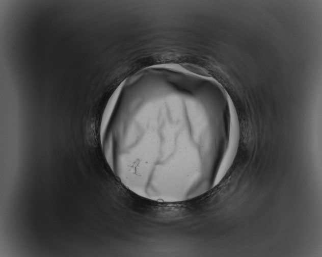 X0000095670378200801291142