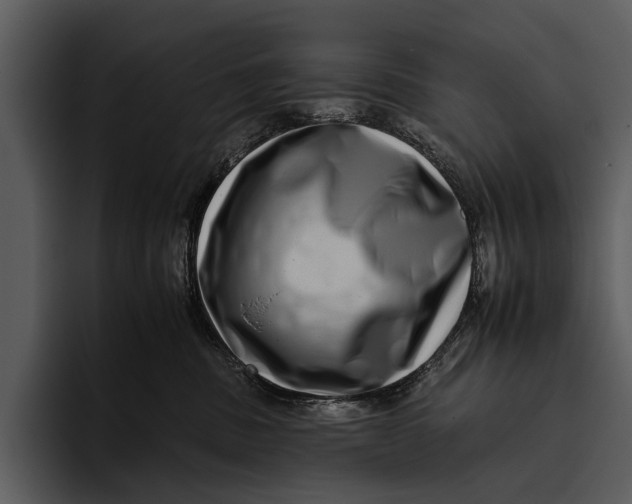 X0000095670379200801291142