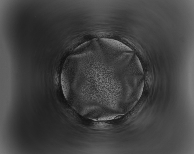 X0000095670380200801291142