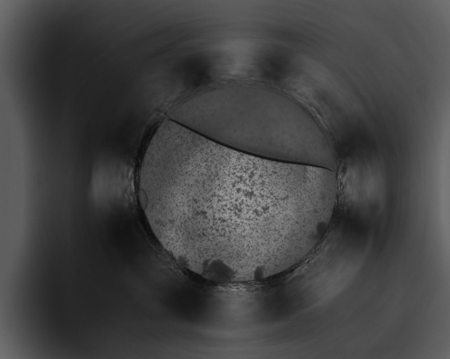 X0000095670381200801291142