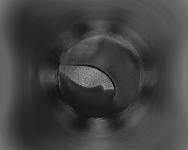 X0000095670383200801291142