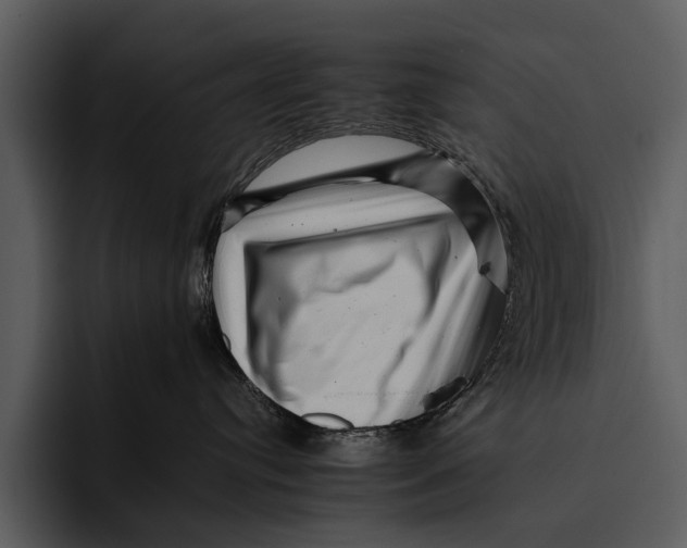 X0000095670384200801291142