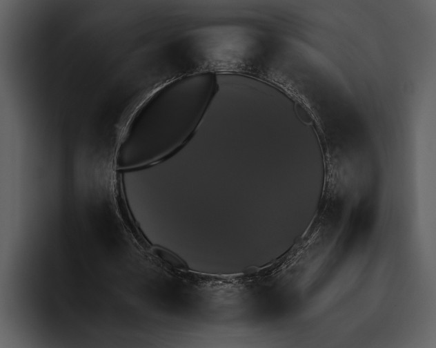 X0000095670386200801291141