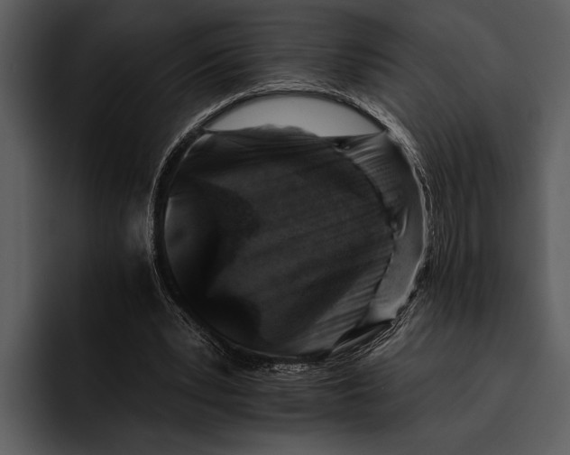 X0000095670391200801291141