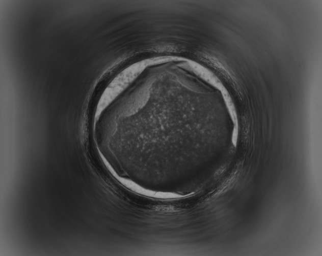 X0000095670392200801291141