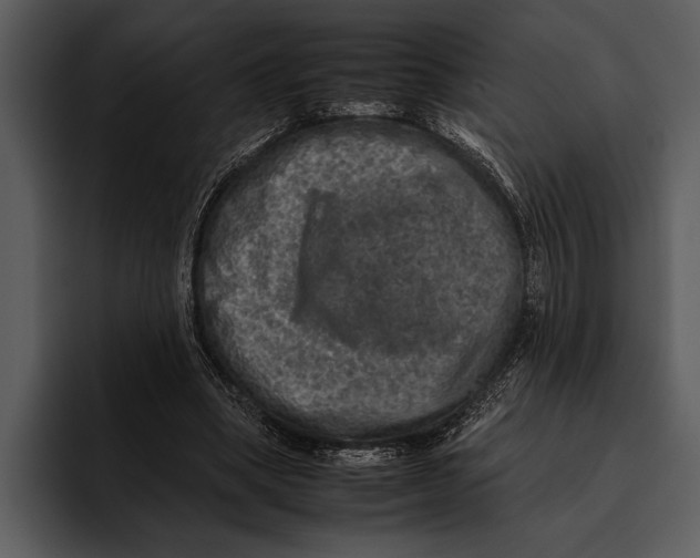 X0000095670394200801291141