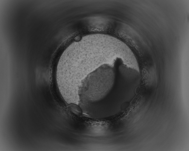 X0000095670400200801291141