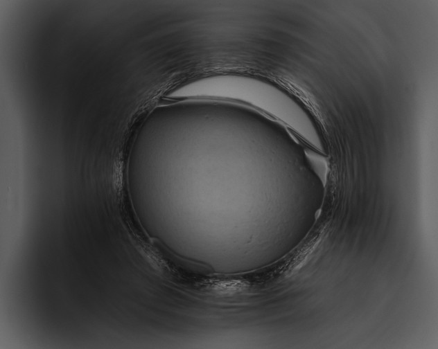 X0000095670401200801291141