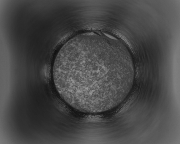 X0000095670403200801291141