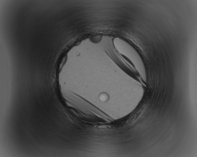 X0000095670407200801291141