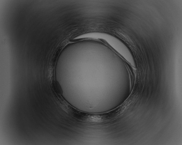 X0000095670409200801291141