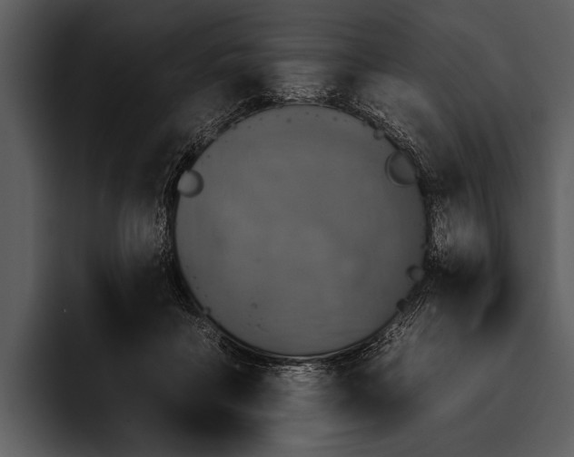 X0000095670411200801291141