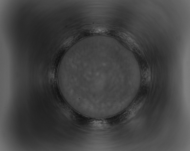 X0000095670415200801291141