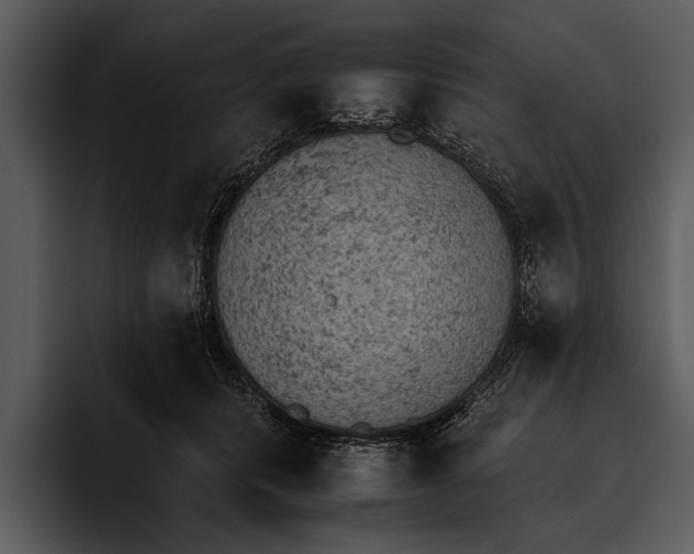 X0000095670416200801291141