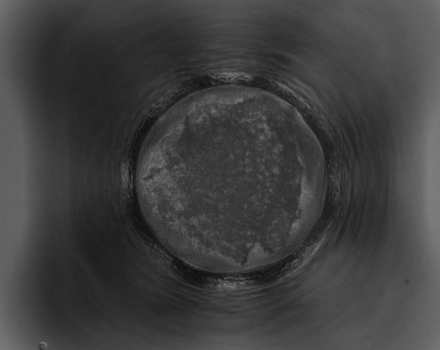 X0000095670420200801291141