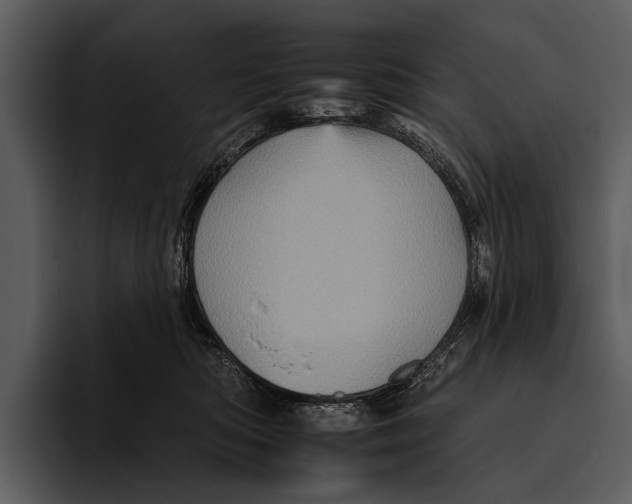 X0000095670422200801291141