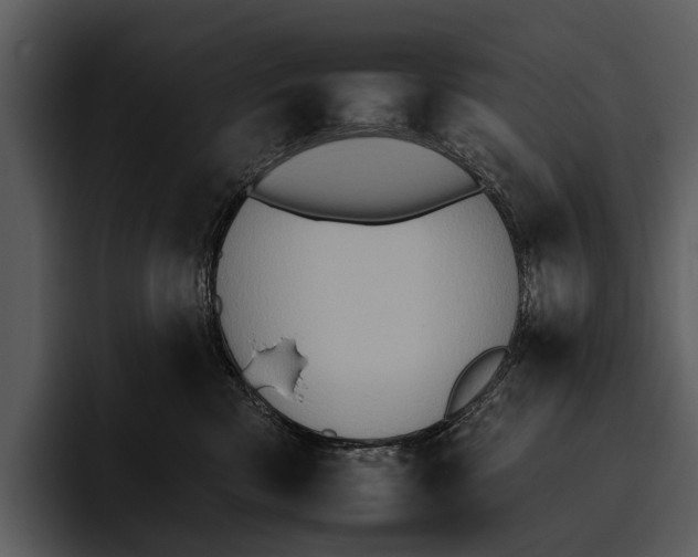 X0000095670426200801291141