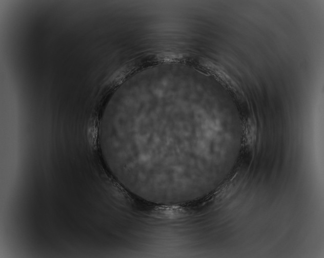 X0000095670427200801291141