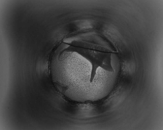 X0000095670428200801291141