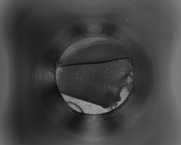 X0000095670432200801291140