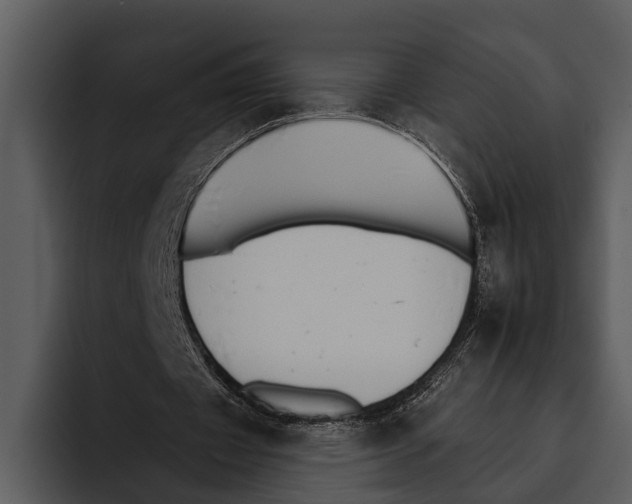 X0000095670433200801291140