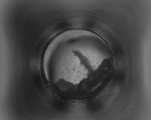 X0000095670434200801291140