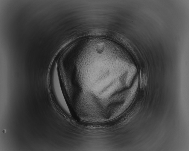 X0000095670435200801291140