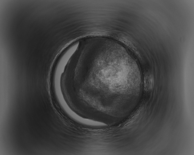 X0000095670436200801291140