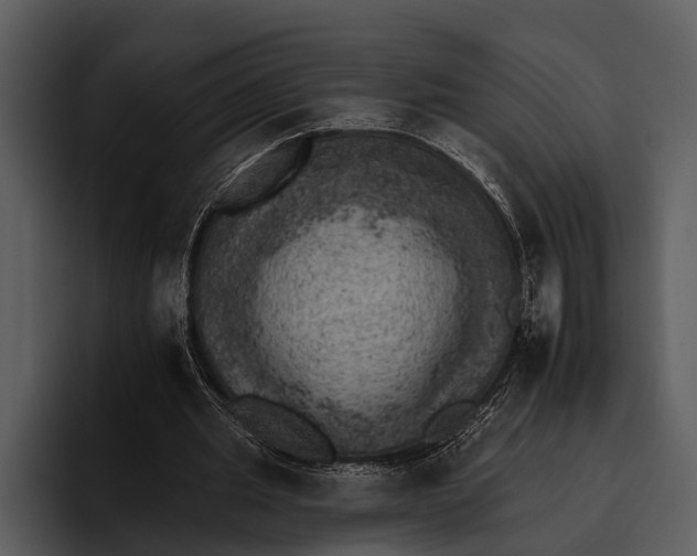 X0000095670437200801291140