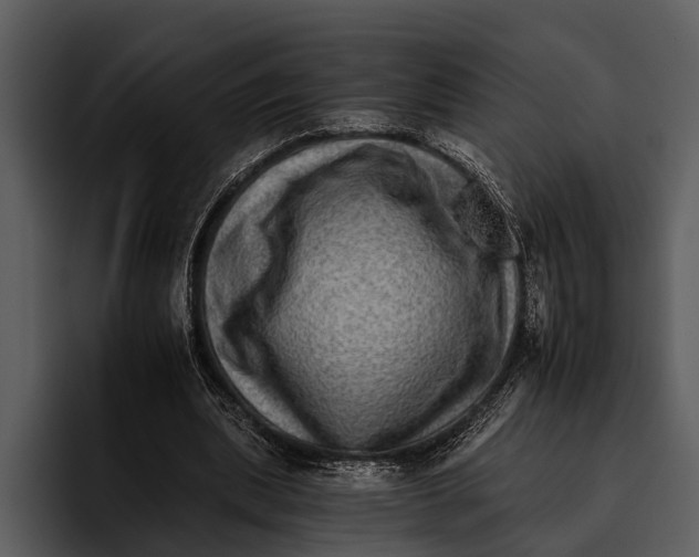 X0000095670439200801291140