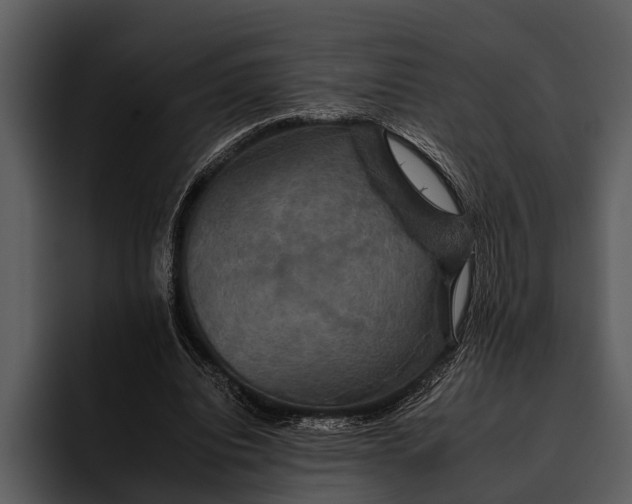 X0000095670440200801291140