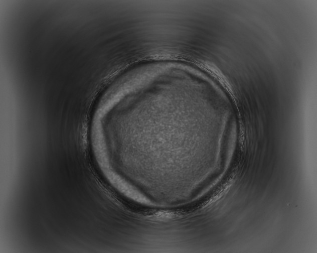 X0000095670441200801291140