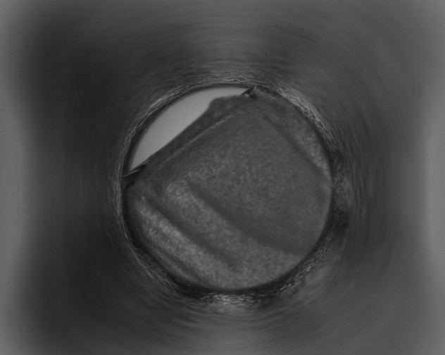 X0000095670442200801291140