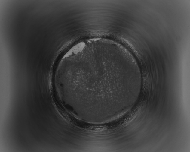 X0000095670443200801291140