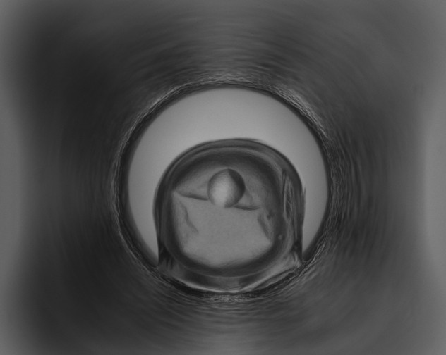 X0000095670444200801291140