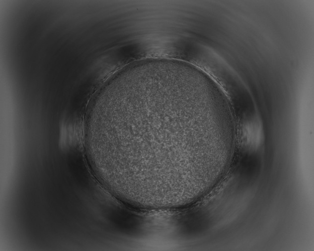 X0000095670445200801291140