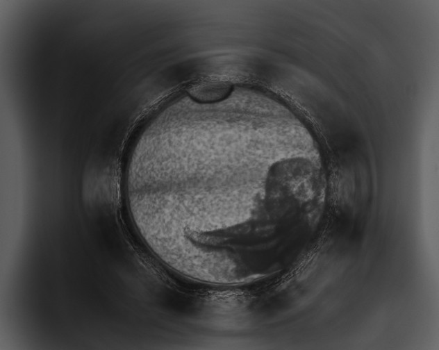 X0000095670446200801291140