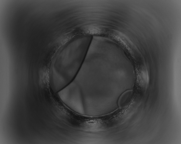 X0000095670447200801291140