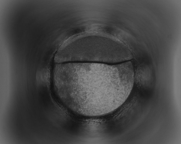 X0000095670448200801291140